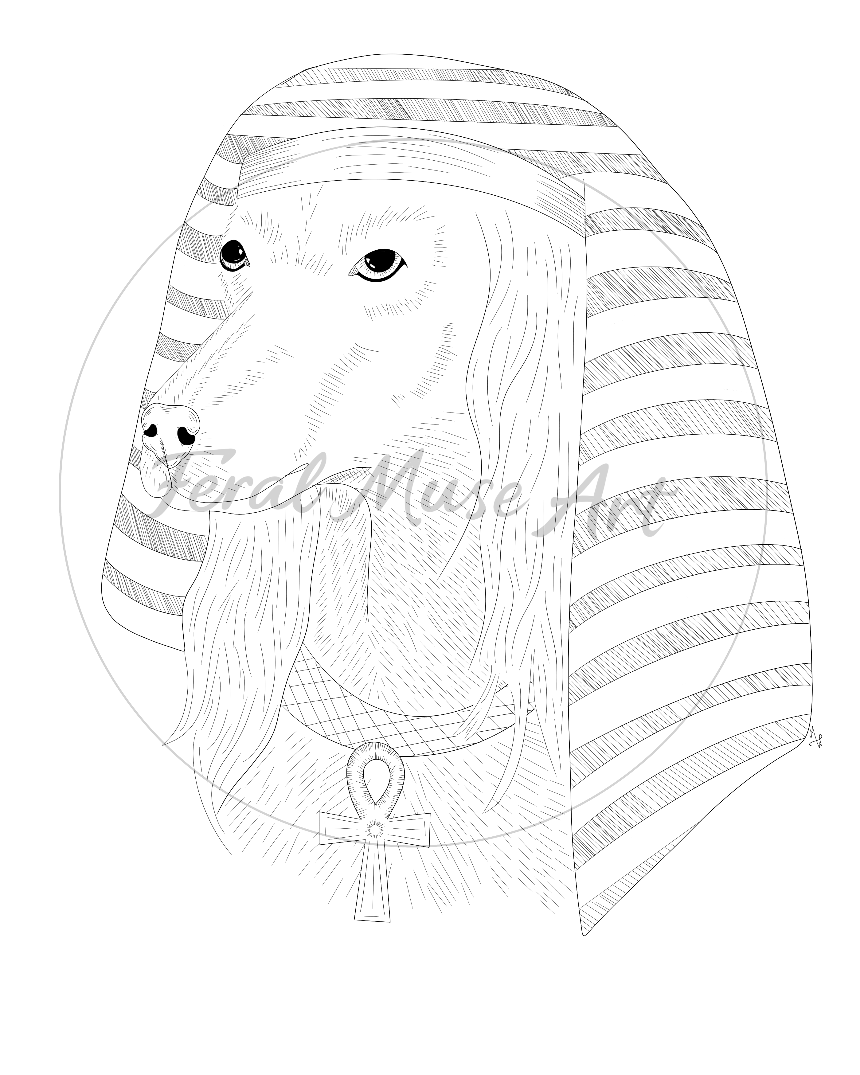 Saluki Printable Coloring Page