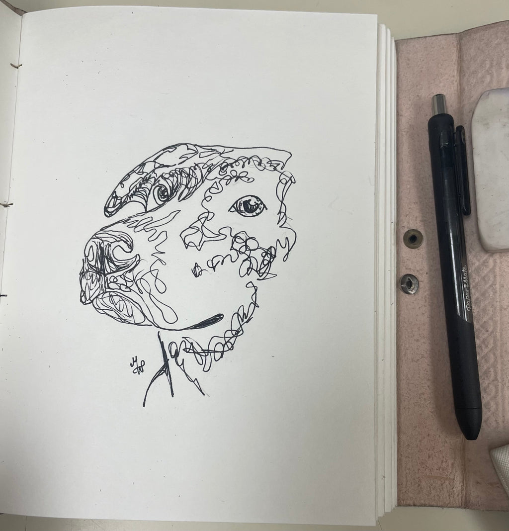Silly Scribble