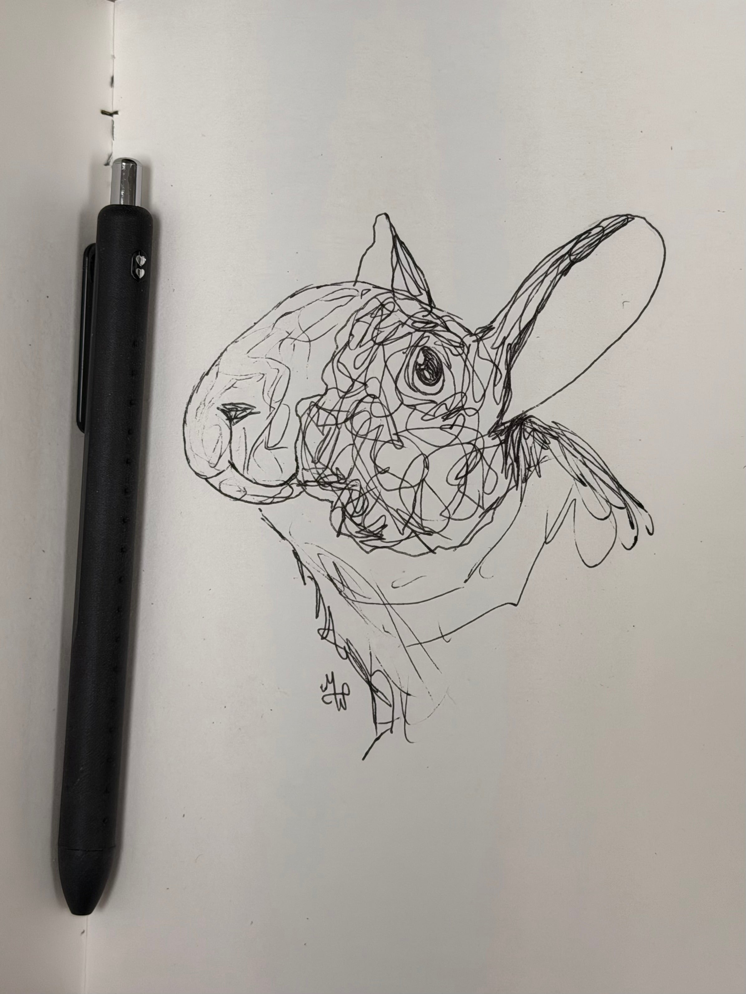 Silly Scribble