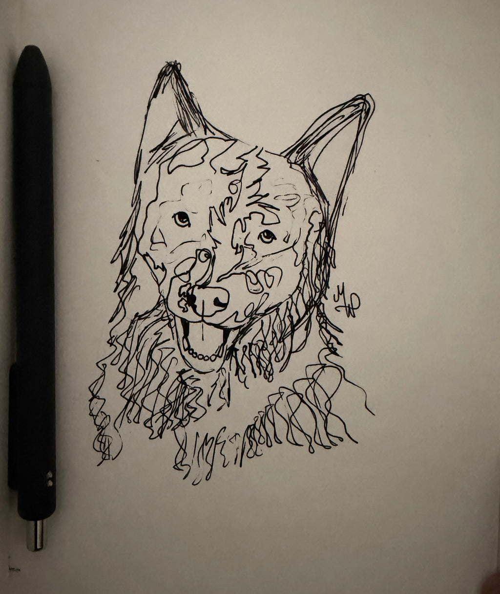 Silly Scribble