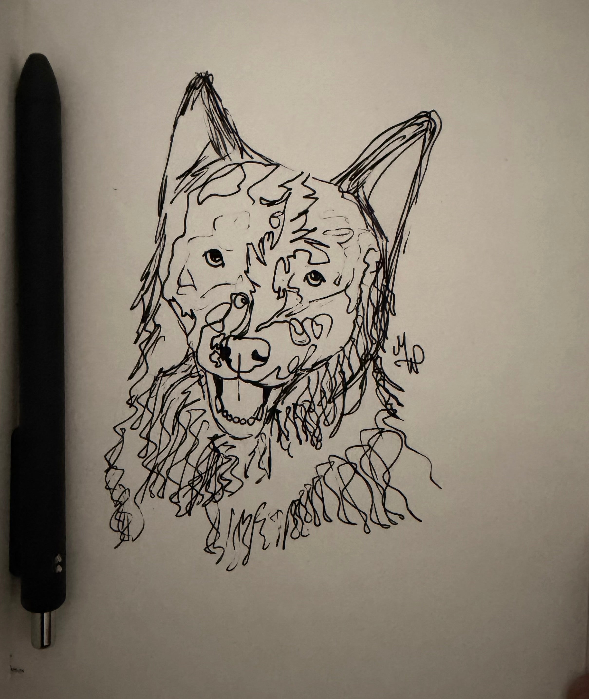 Silly Scribble