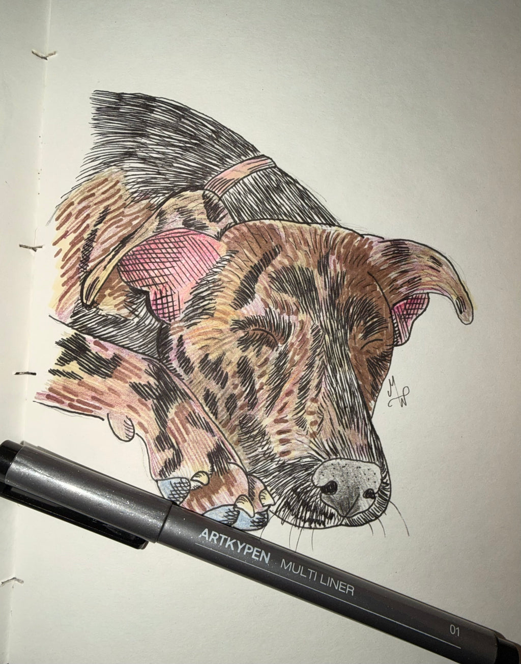 Custom Pet Portrait