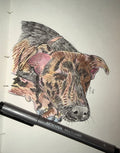 Custom Pet Portrait