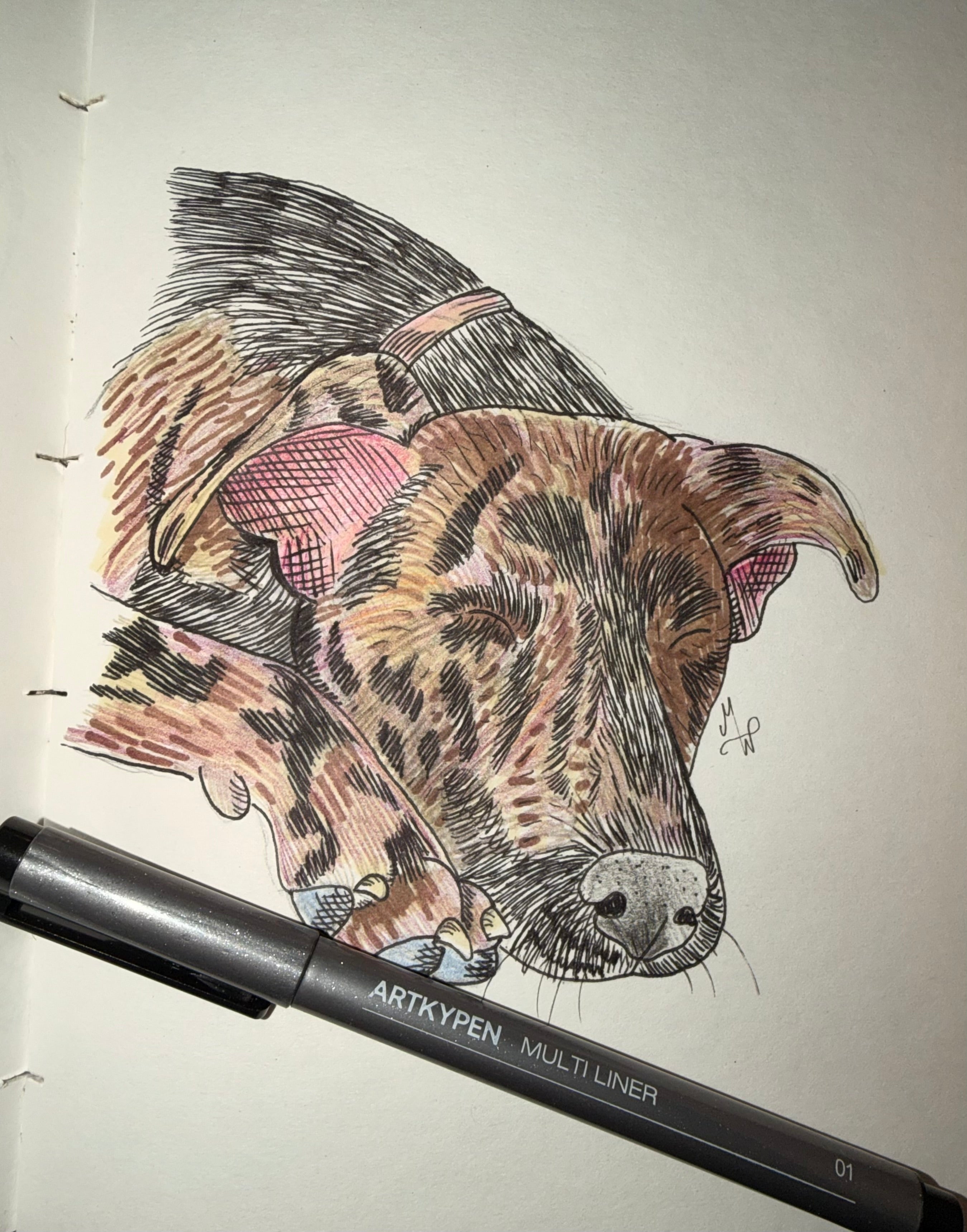 Custom Pet Portrait