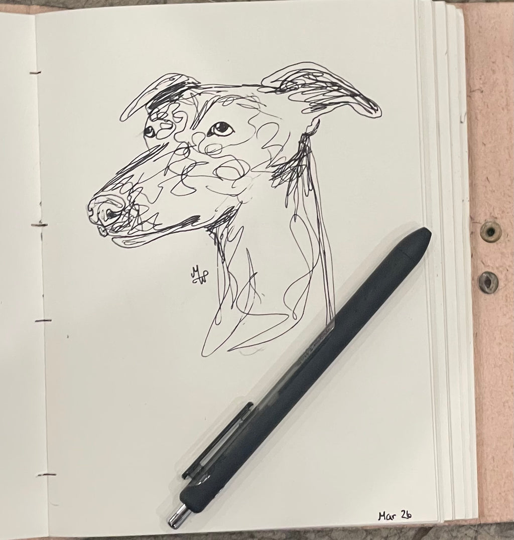 Silly Scribble