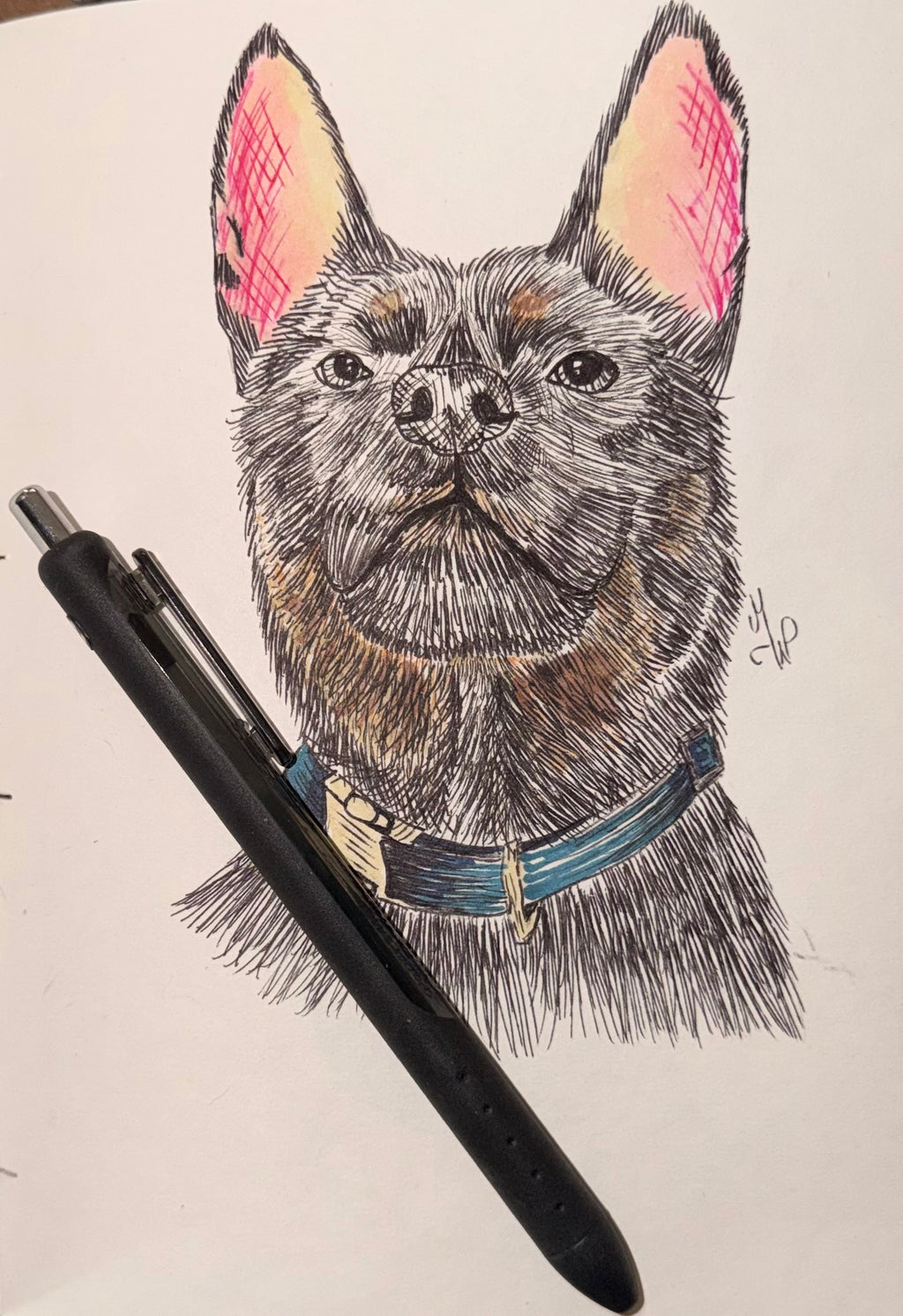 Custom Pet Portrait