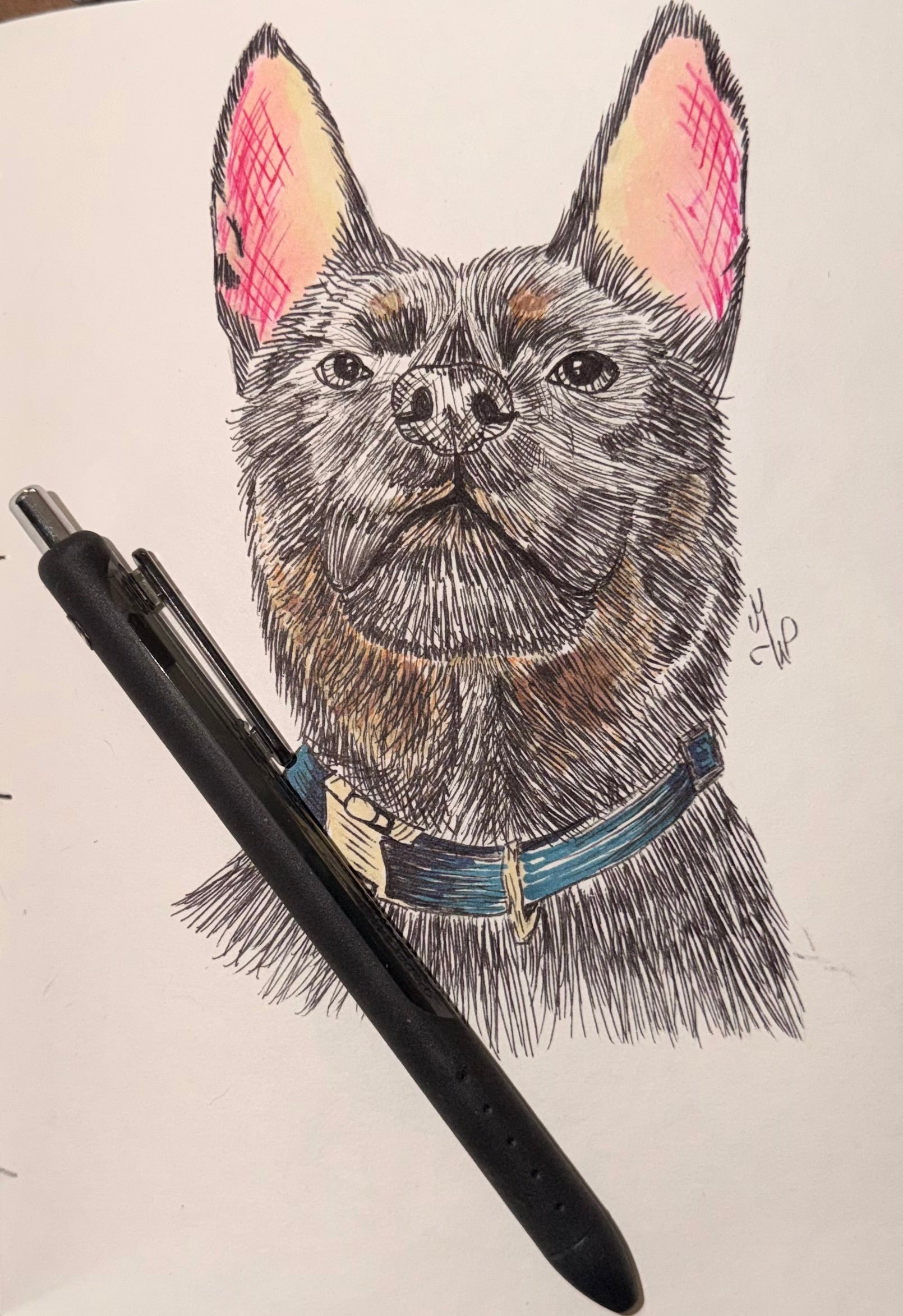 Custom Pet Portrait