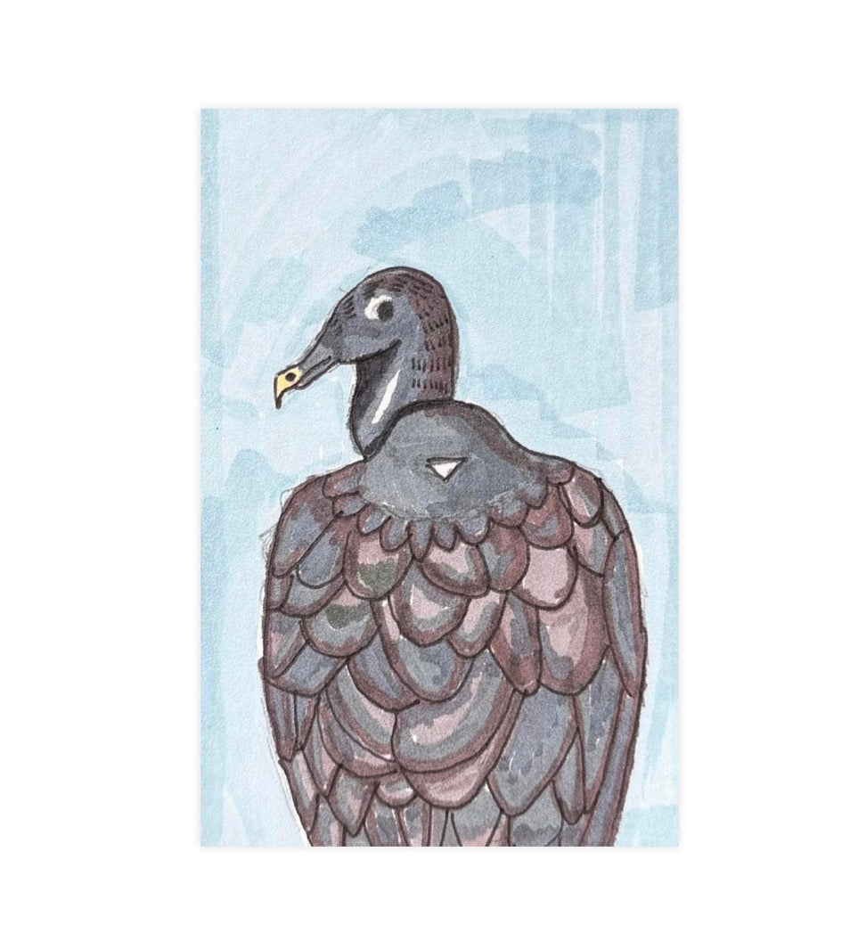 Vulture Art Print